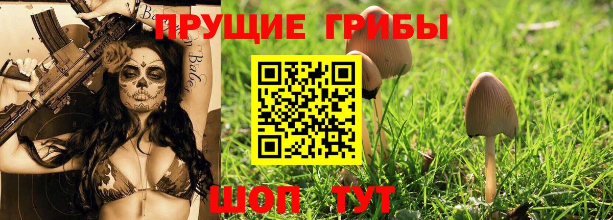 Сланцы  Галлюциногенные грибы MAGIC MUSHROOMS  Галлюциногенные грибы ЛСД  Вход с VPN 