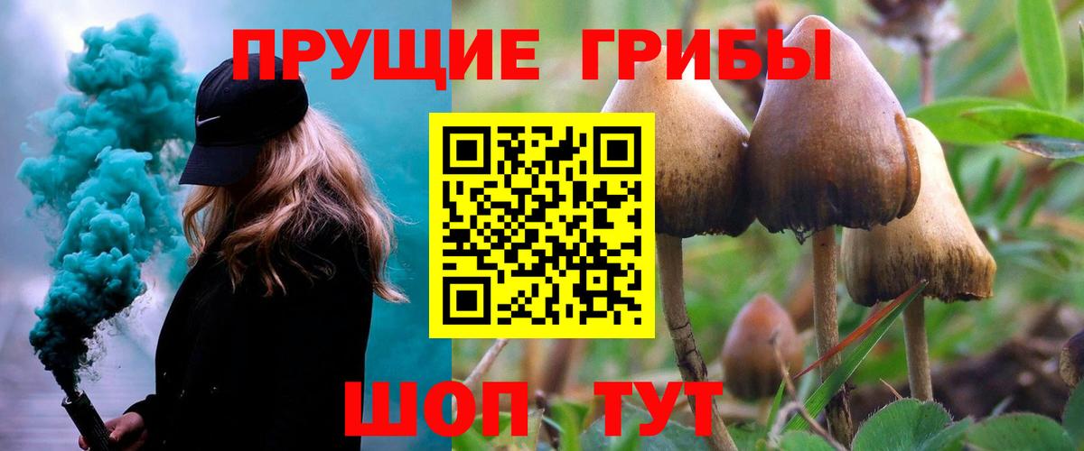 Галлюциногенные грибы ЛСД Сланцы
